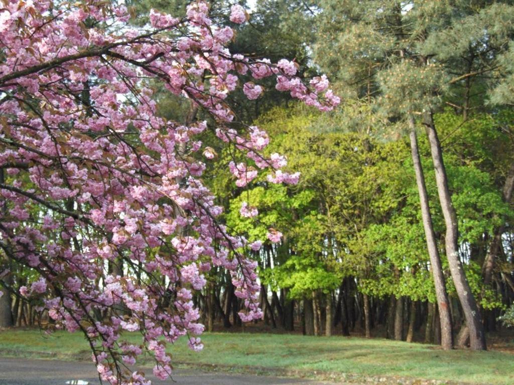 克洛斯森尼住宿加早餐旅馆 Langon  外观 照片
